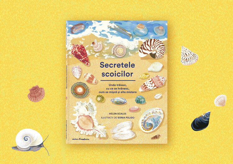 homepage banner_mobile_Secretele scoicilor